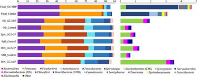 Oral and Fecal Microbiome in Molar-Incisor Pattern Periodontitis